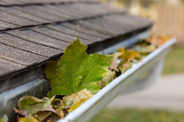 Gutter System Cleaning