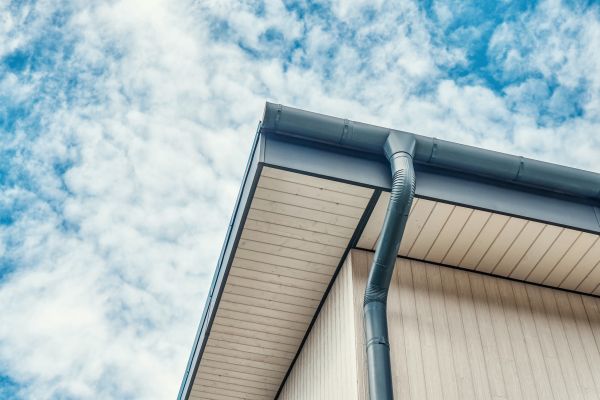 Cost of Gutter Fascia Repair in Albany